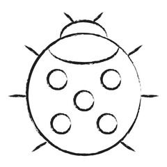 Hand drawn Ladybug icon