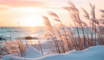 Grasses in snowy dunes in the front of the serene and tranquil winter scene. Sea and sunset, sunrise in the background. Golden soft light for romantic, loving emotions.  - Powered by Adobe
