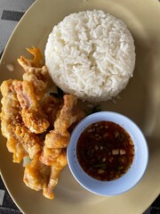 chicken and rice