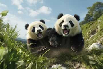  A pair of joyous pandas somersaulting down a hill, their black-and-white fur a striking contrast against the green grass. Concept of panda frolic. Generative Ai. © Sebastian