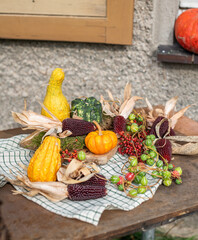 Stilleben mit Kürbiss, roten Beeren und Maiskolben, rustikale, natürliche Dekoration im Herbst,...