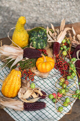 Stilleben mit Kürbiss, roten Beeren und Maiskolben, rustikale, natürliche Dekoration im Herbst,...