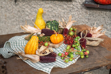 Stilleben mit Kürbiss, roten Beeren und Maiskolben, rustikale, natürliche Dekoration im Herbst,...