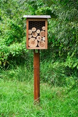 Insect house box