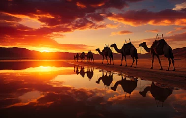 A group of camels walking along a beach at sunset. Majestic sunset walk with camels along the beach © Vadim