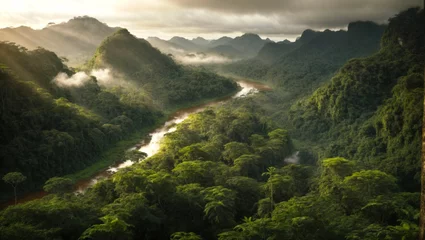 Fotobehang Amazon rainforest, Latin America, summer, dense jungle, living nature © Juan Gumin