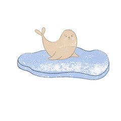 fur seal drawn with crayons, pictures drawn with oil pastels, sea inhabitants