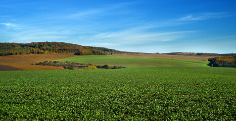 A green rapeseed field at hills against a blue sky and colorful soybean fields on the horizon