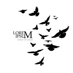 Flying birds silhouette flock. hand drawing. Not AI, Illustrat3 . Vector illustration