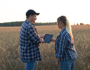 Naklejka na ściany i meble Holding a tablet in their hands, people discuss the grain business against the backdrop of a wheat field at sunset. Harvest and sale of grain. Small business concept.