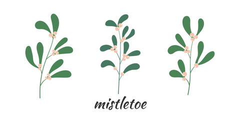 Set of mistletoe sprigs isolated on white. Green branch with berries. Flat illustration. Winter holidays plant decoration. Element for design