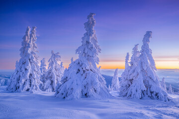 Stunning winter landscape - 656715962
