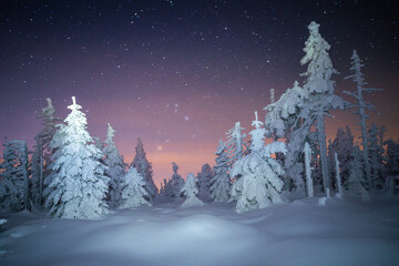 Starry winter night landscape with snow-covered trees. Christmas night landscape.