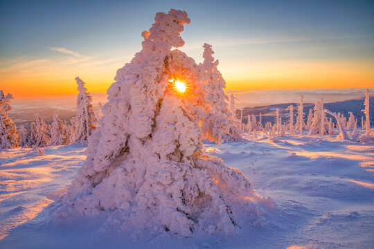 Scenic winter sunrise