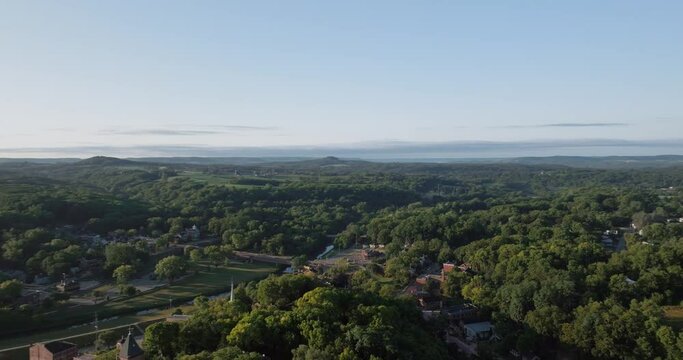 panorama of the forest