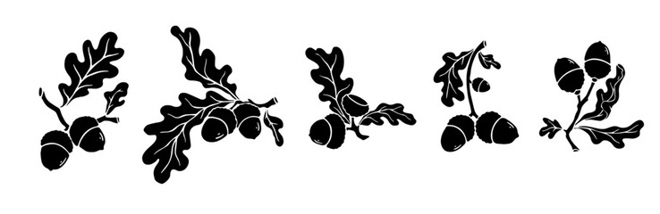Set of silhouettes of oak branches with acorns. Decorative vector graphics.	