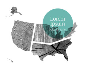 Map of USA with Simple Regionws and Tree Textures