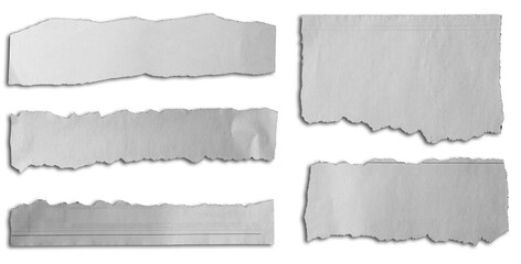Torn pieces of paper