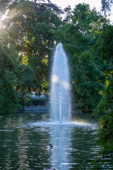 Retiro Park or simply El Retiro is one of the largest parks belonged to the Spanish Monarchy until...