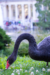 Retiro Park or simply El Retiro is one of the largest parks belonged to the Spanish Monarchy until...