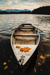 Boot, Paddelboot, See, Herbst, Herbstblätter