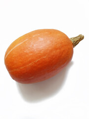 orange pumpkin on white background