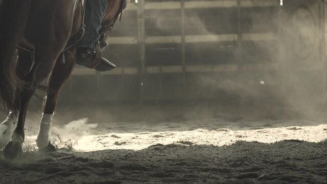 Close up horse hooves step ground. Dust and smoke swirls. Slow motion. Equestrian sport and active lifestyle. Animals concept.