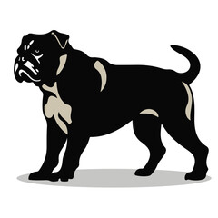 American Bulldog silhouettes and icons. Black flat color simple elegant American Bulldog animal vector and illustration.