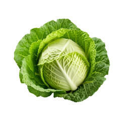 Obraz premium cabbage isolated on white background, ai generated