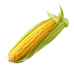 corn isolated on white background, ai generated