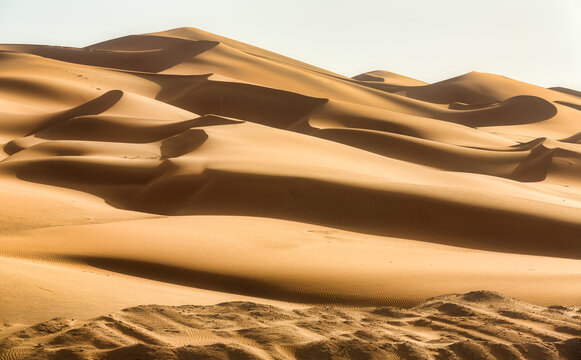 The Empty Quarter's Adventures- DESERT SAFARI