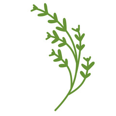 Green botanical leaves