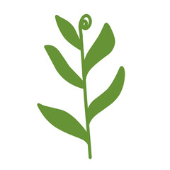 Fototapeta premium Green botanical leaves