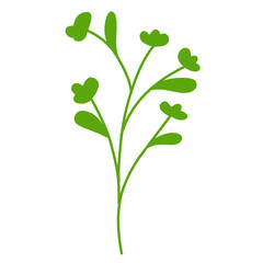 Green botanical leaves