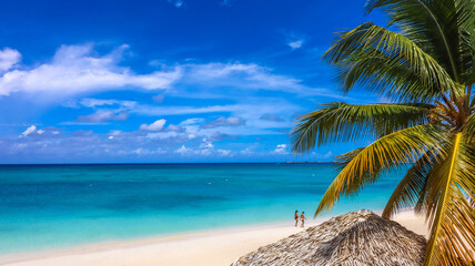 Seven Mile Beach in Grand Cayman, Cayman Islands, Features azure blue sky, crystal-clear waters, pristine white sand, and coconut tree branches. Ideal for Caribbean vacations, tropical paradises, and 