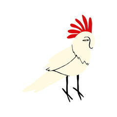 Cute cartoon comic White Cockatoo Parrot. Hand drawn illustration of bird in doodle style
