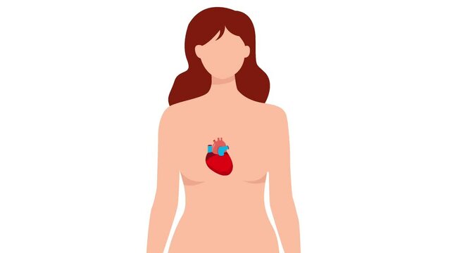 Human anatomy internal organ set with brain, lungs, intestine, heart, kidney, pancreas, spleen, liver and stomach. Vector isolated illustration