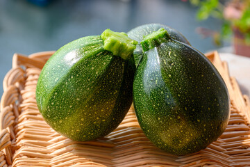 Round green courgette or zucchini, on wicked plate, close up, healthy food