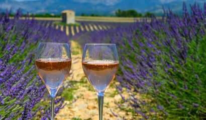 Summer in French Provence, cold gris rose wine from Cotes de Provence and blossoming colorful lavender fields on Valensole plateau, tastes and aromas Provence, France