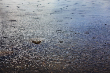Fototapeta na wymiar Rain over the surface of the water