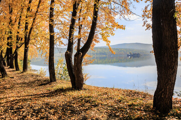 Autumn landscape with trees on the shore of lake - 656763312