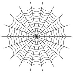 Obraz premium Halloween Black Spider Web Design