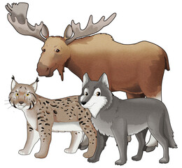 Cartoon wild animal wolf or dog and wild cat lynx with moose isolated illustration for children