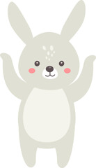 Happy Rabbit Animal