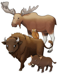 Cartoon wild animal bison aurochs and boar  isolated illustration for children