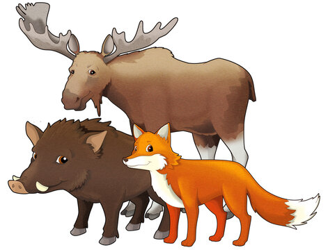 Cartoon wild animal wolf or dog happy fox and owl with moose isolated illustration for children