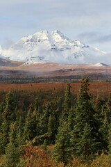 Fototapeta premium Mountain in Denali National Park