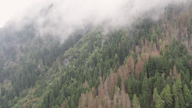 areal footage of mountain river in Apls in cloudy day 