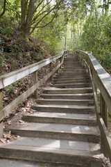 Long staircase on trail to Mingo Falls