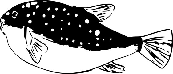 クサフグの魚拓イラスト © foolchico